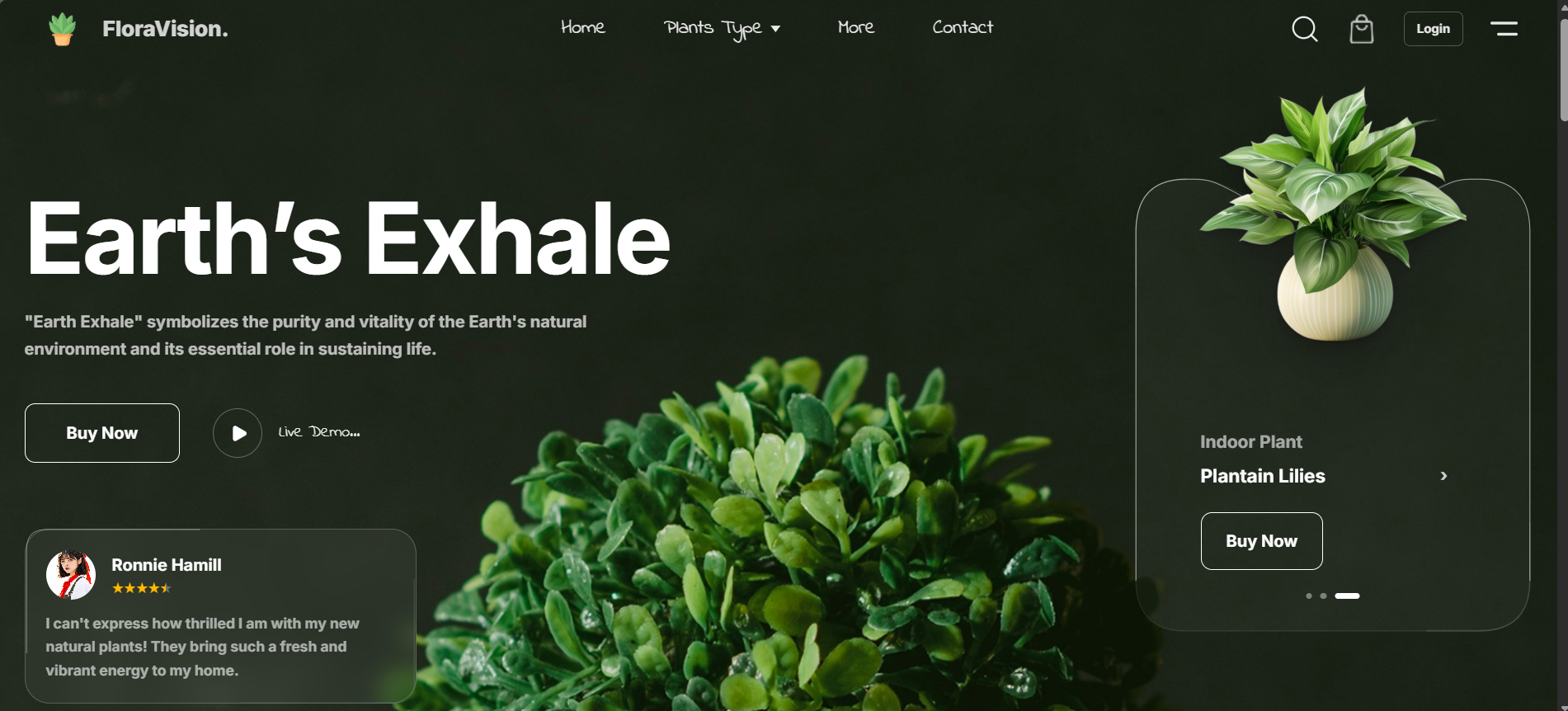 Plant SaaS - Multi-Tenant E-Commerce